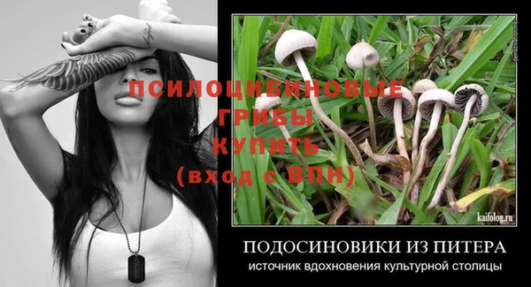 дживик Алексеевка