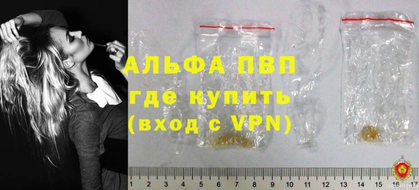 крисы Абаза